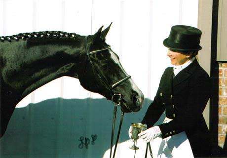 Merlin Photo
